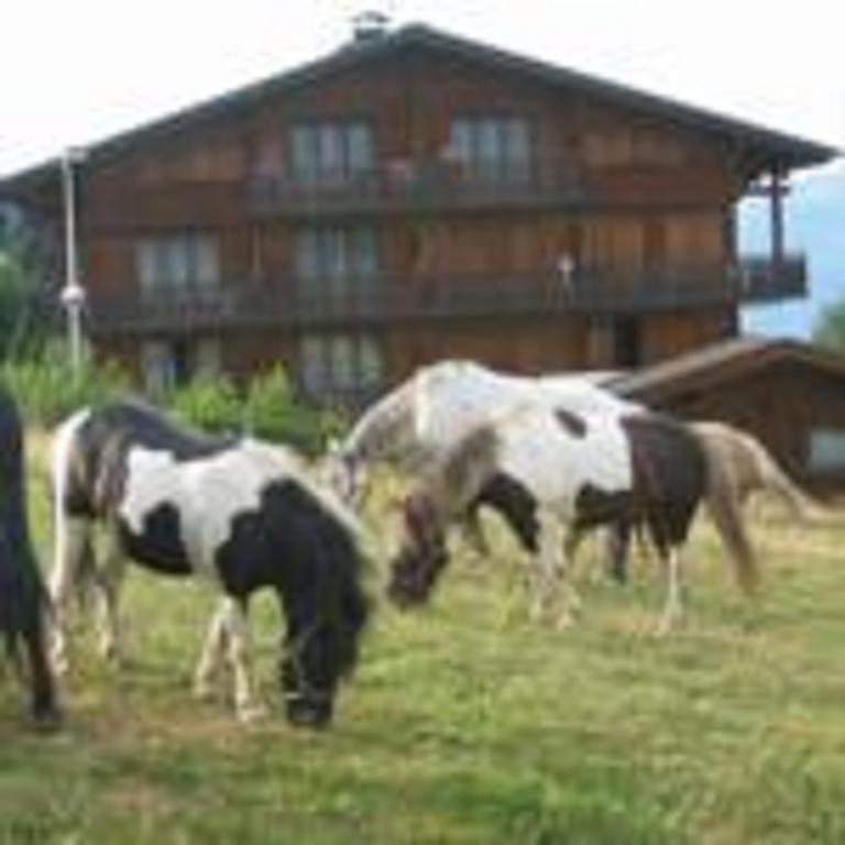 Aparthotel Chalet Gabriel à Saint-Gervais-les-Bains Extérieur photo